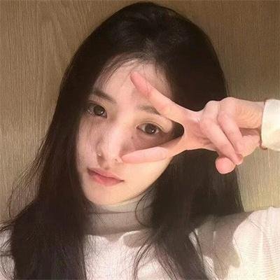 真情玫瑰